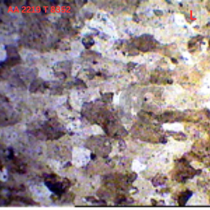 AA 2219 T8352 microstructure report 01