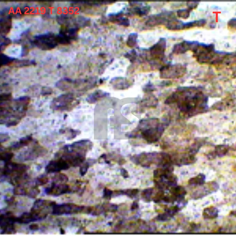 AA 2219 T8352 microstructure report 02